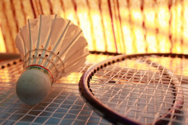 badminton 166405